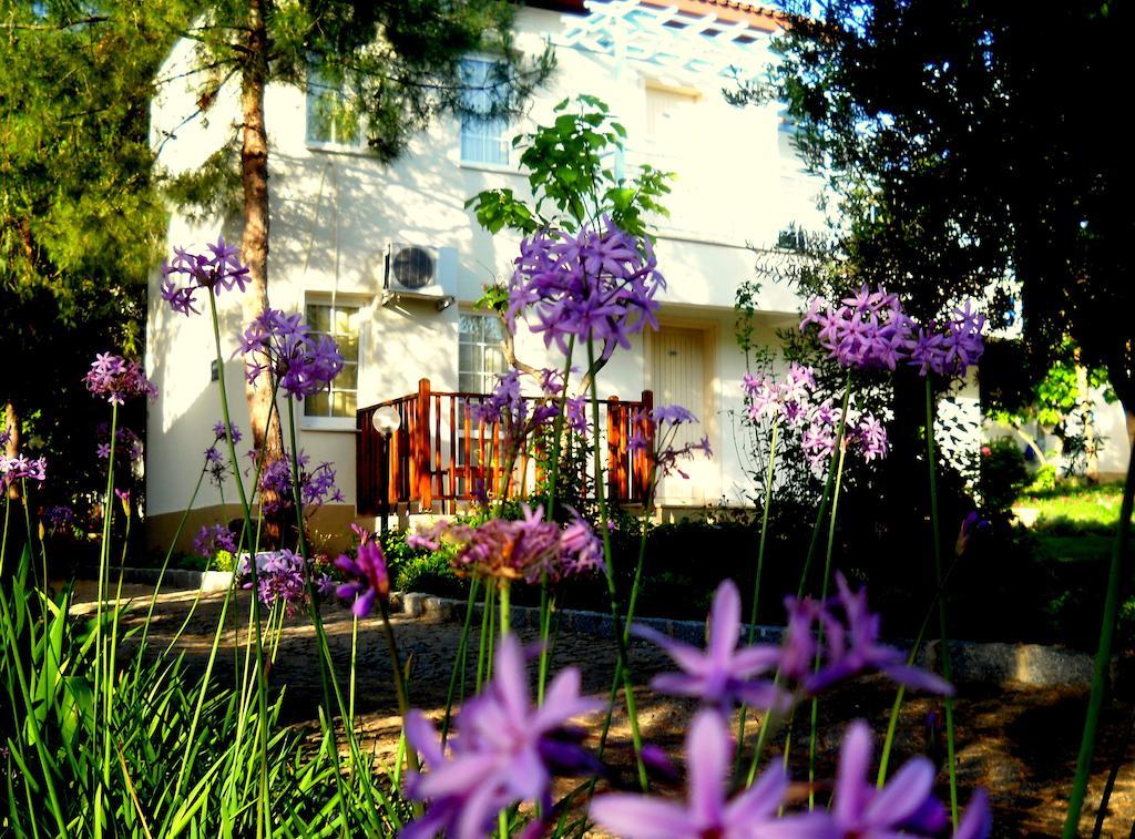 Teos Village Seferihisar Ruang foto