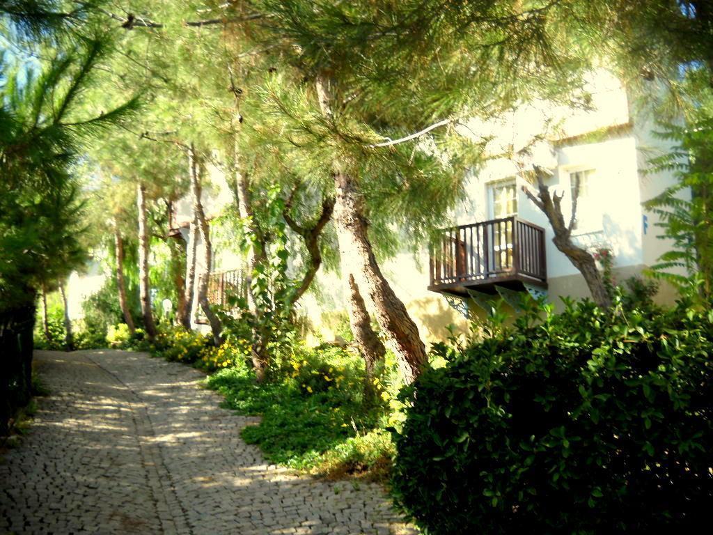 Teos Village Seferihisar Bagian luar foto