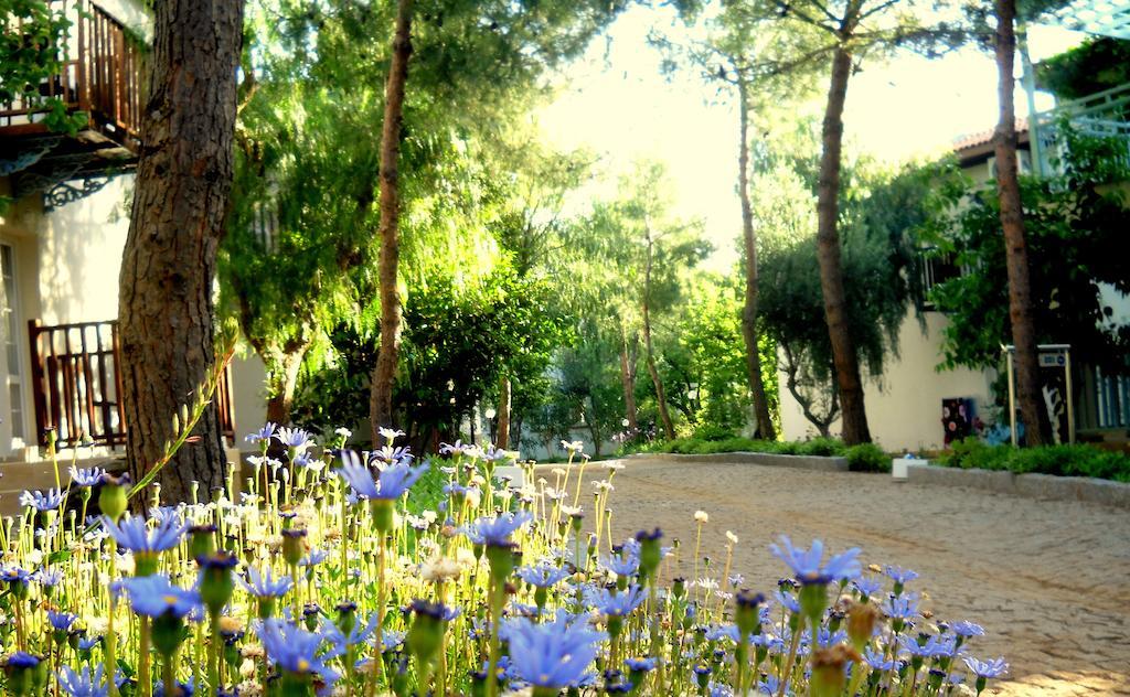 Teos Village Seferihisar Bagian luar foto